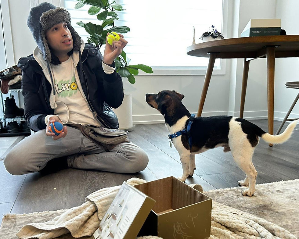 Understanding Dog Humping (During the Holidays and All Year Round)