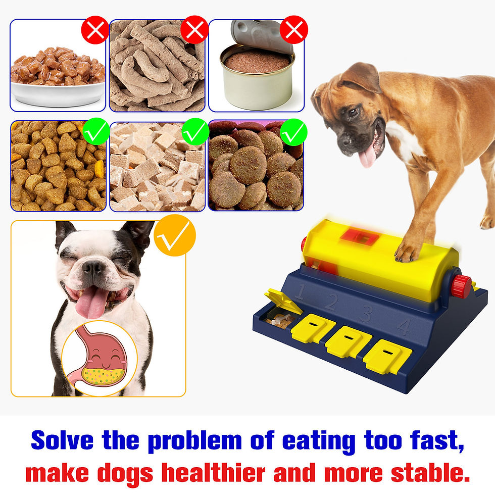 Thumbnail: #21 Cylinder Food Puzzle