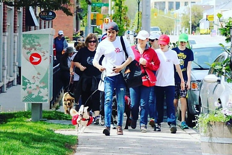 Walking to raise funds for the Lions Foundation of Canada Dog Guides