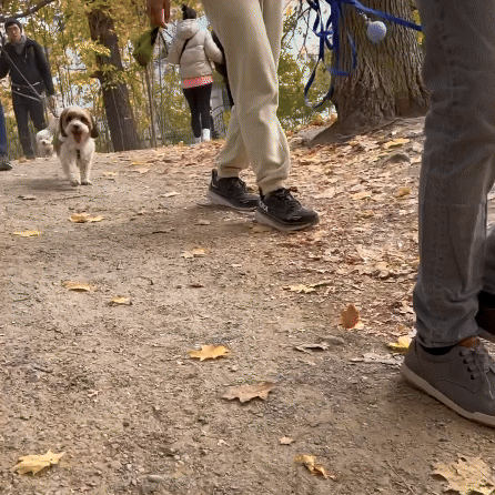 My Movie 123 Clip 4.gif