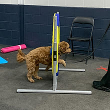 Drop-Off Sessions (North York)