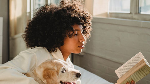 (Quick Answer) How Can I Help My Dog Relax After Training?