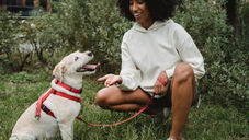 (Quick Answer) When Can I Start Training My Puppy?