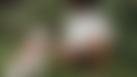 (Quick Answer) When Can I Start Training My Puppy?