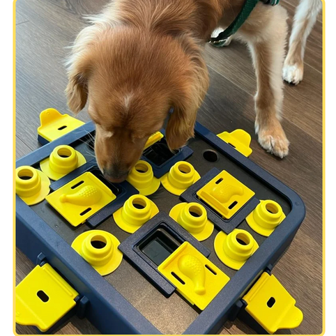 How to Help Your Dog Be Calm During Mealtime: A Step-by-Step Guide