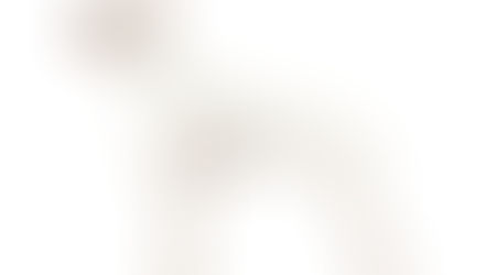 (Quick Answer) Where Can I Learn More About My Dogâs Breed?
