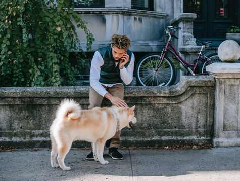 What Should I Do When My Dog Doesn’t Listen?