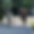 Photo of me walking behind two pet parents and their dog.