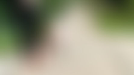 Small white dog walking with ,e