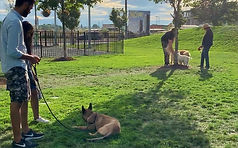 Outdoor Relaxation Classes_edited.jpg