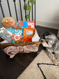 Chloe admining gift basket