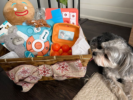 Chloe admining gift basket