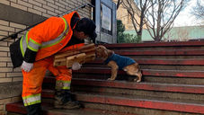 Helping Your Dog Feel More at Ease Around Men: Tips for Calming Barking and Building Confidence