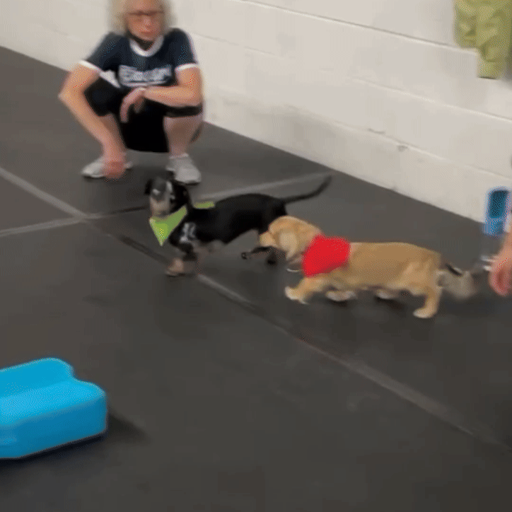 My Movie 123 Clip 3.gif