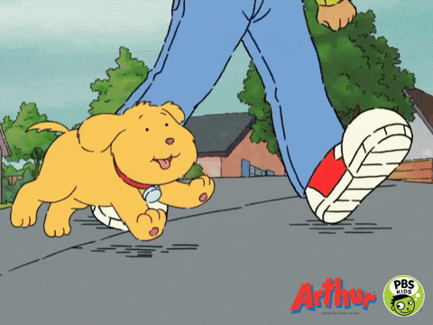 giphy.gif