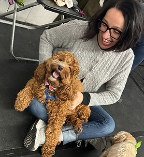 Young cockapoo laying on pet parent's lap during group class