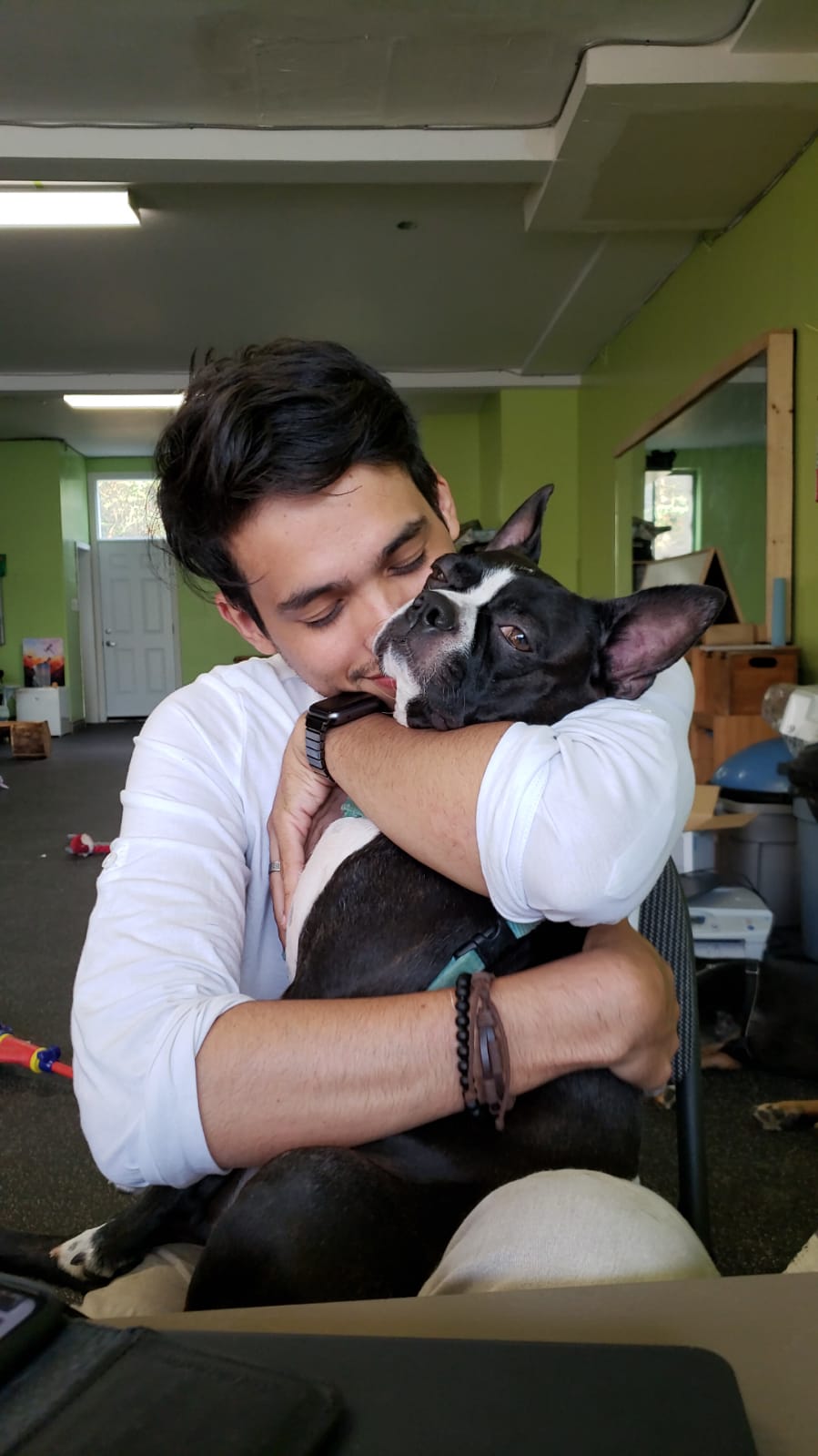Dog Relationship Advisor