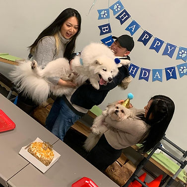 Birthday Party 6