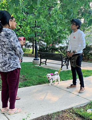 Private Dog Training Mississauga