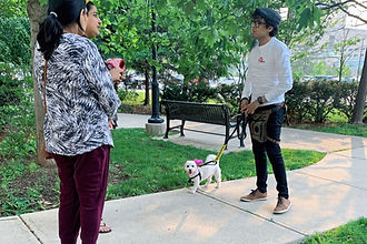 Private Dog Training Mississauga Everyday Manners