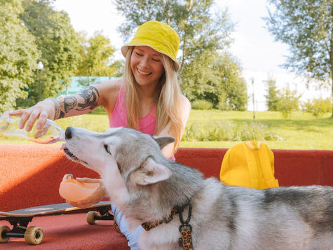 (✅ Step by Step) How a Dog Water Bottle Can Improve Your Relationship With Your Pup