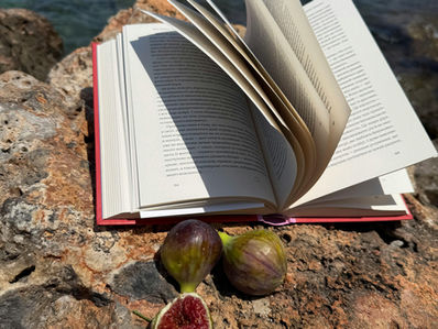El Arte de la Cocina en Casa: Un Santuario de Excelencia y Tradición Mediterránea