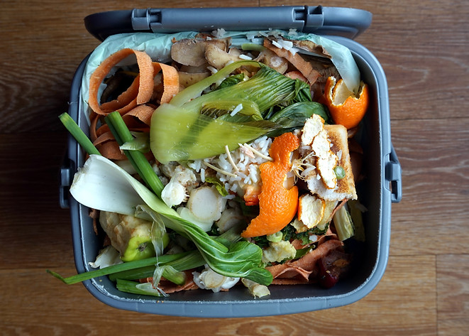 Domestic Waste Bin