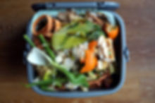 Domestic Waste Bin