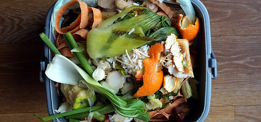 Contenedor de basura doméstica