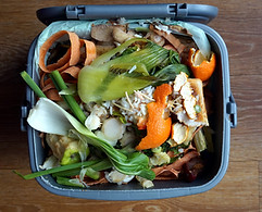 Domestic Waste Bin