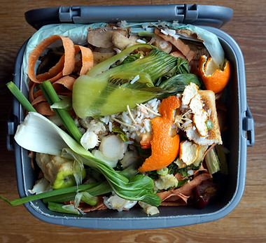 Domestic Waste Bin