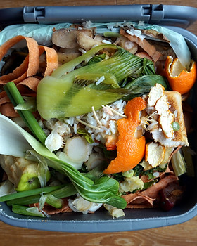 Domestic Waste Bin