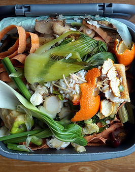 Domestic Waste Bin