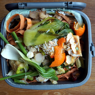 Domestic Waste Bin