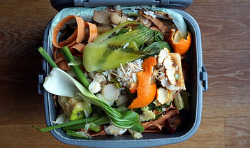 Domestic Waste Bin