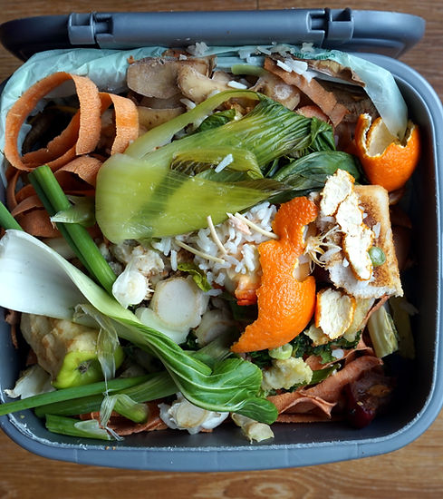 Domestic Waste Bin