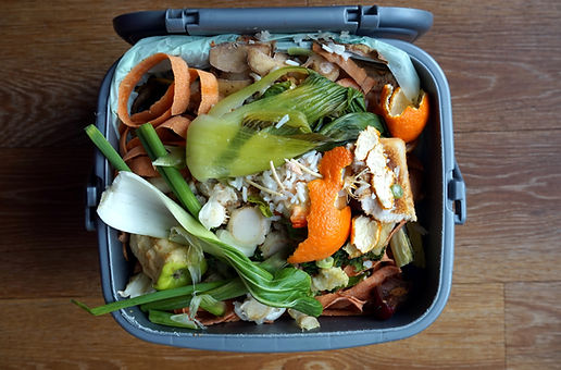 Domestic Waste Bin