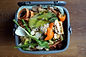 Domestic Waste Bin