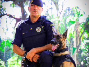 Gestão das fezes dos cachorros no canil da GCM de SP