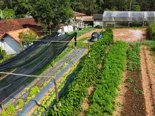 Melhora na Produtividade através do Biodigestor para a Agricultura Sustentável no Sítio do Léo