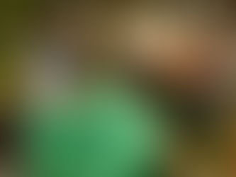 Tecnologia Sustentável, Educação e Inovação Verde na Escola Olga Ferraz