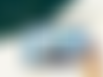 Educação Ambiental Projeto Viveiro automatizado São José dos Campos