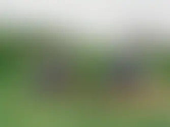 Sítio Murakami: Biodigestor e Agricultura Sustentável