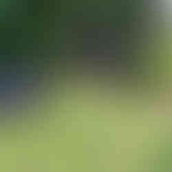 Biodigestor ativado em funcionamento