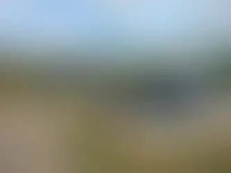 GRUPEQUI (UFAL) avança na gestão das fezes de animais com biodigestor