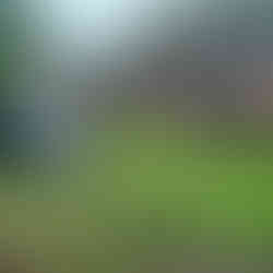 Biodigestor instalado e ativado na Capril do Bosque