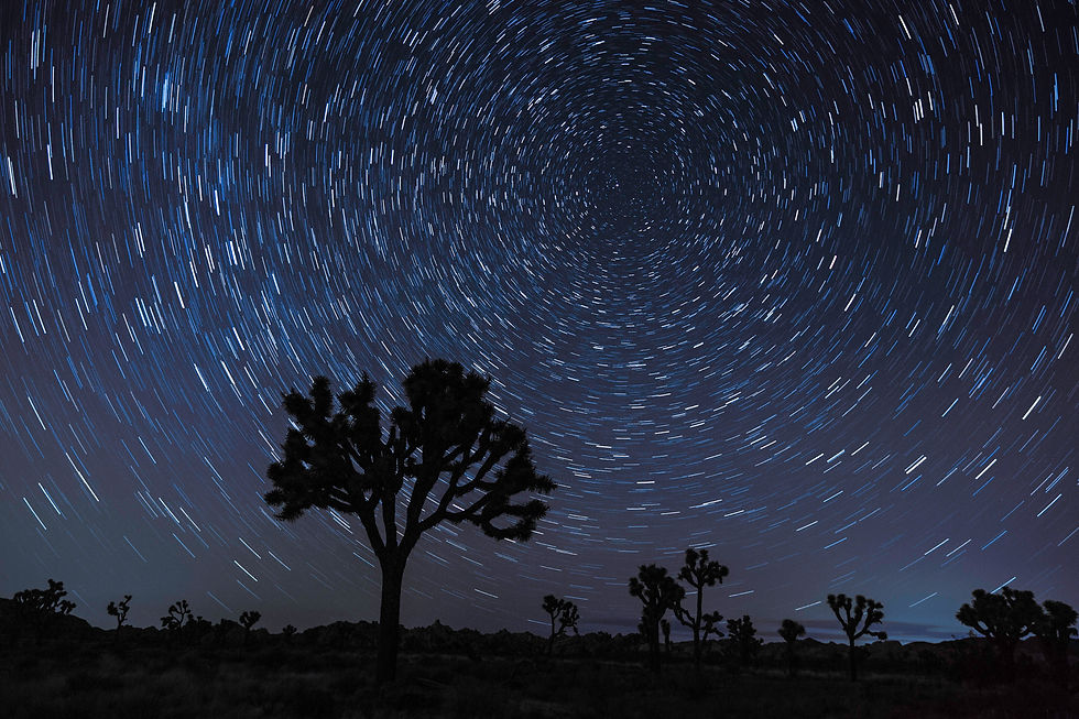 JT Star Trail 20