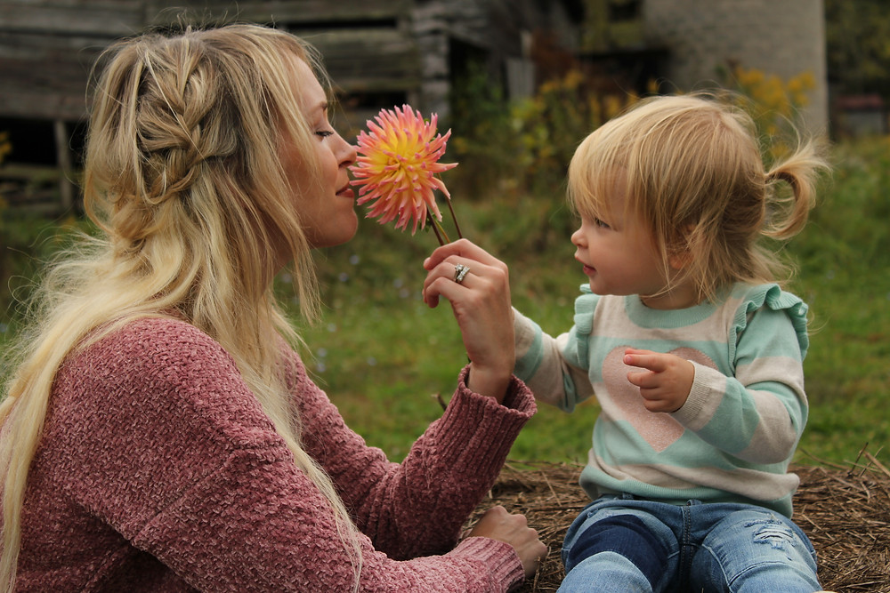 A litte girl holds out a flower for her om to smell at Lady Luck Flower Farm in Asheville, NC.