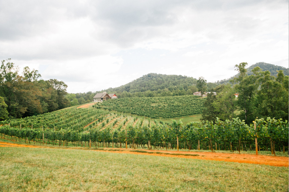 An Evening At Addison Farms Vineyard