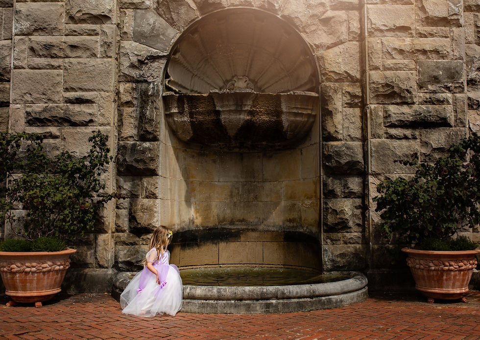 Valerie Eidson, Day Dream Photos, Asheville Family Photography, Biltmore Estate, Kids Photography, Magic of Childhood, Rapunzel Princess Dress